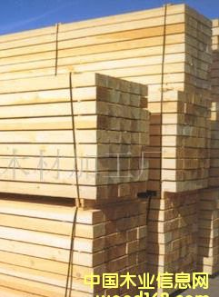 ��ľľ����Ԕ��(x��)��B