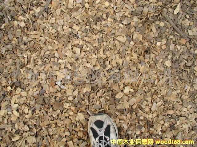 ľƬ��Ԕ����B