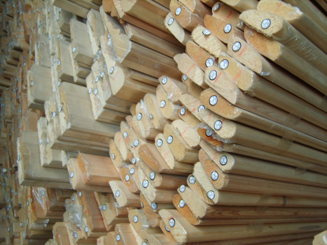 ��ľľ��(1)��Ԕ����B