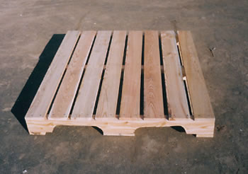 ���������ڿմ�����ľ�бP(p��n)��Ԕ��(x��)��B