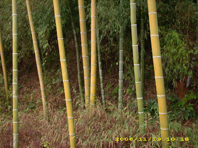 ë���Ԕ����B