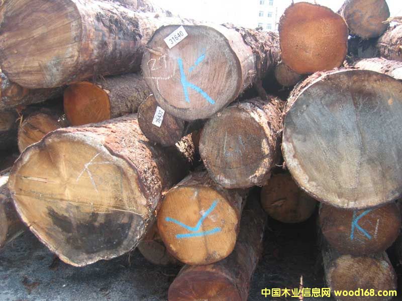 ������ɼԭľ��Ԕ��(x��)��B