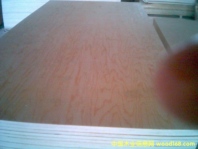 BD����ľ�z�ϰ�