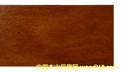 ���P̴��Ԕ��(x��)��B