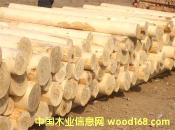 ��ľ��Ԕ��(x��)��B