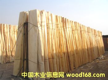 ��ľ�ΰ��Ԕ��(x��)��B