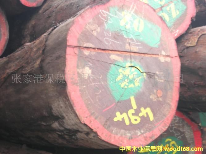 �M(j��n)��ľ�ĵ�Ԕ��(x��)��B