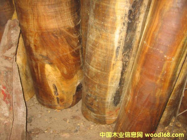 ��̴���Ԕ����B