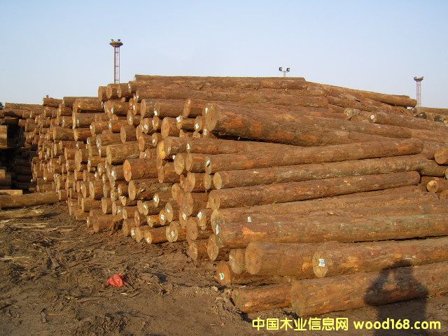 �Ĵ�������ľ��Ԕ����B