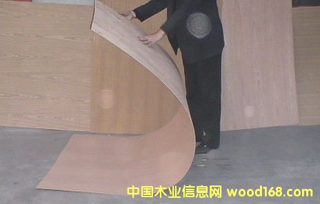 ��Ȼ̩���N����Ԕ��(x��)��B