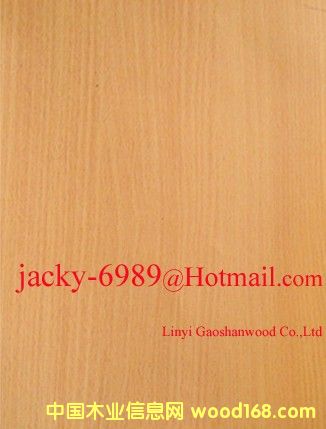 �t���N����Ԕ��(x��)��B