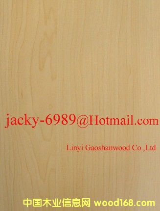 ��ľ�N����Ԕ��(x��)��B