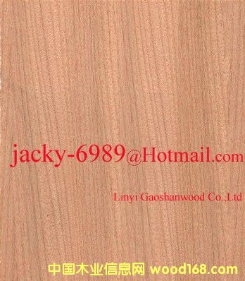 ��Ȼ̩���N����Ԕ��(x��)��B