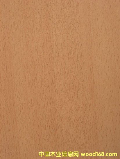 ��ľ��Ԕ��(x��)��B