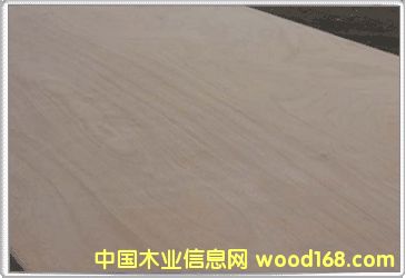 ��(x��)ľ�����Ԕ��(x��)��B