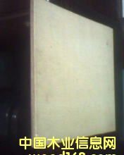 ɼľƴ���Ԕ��(x��)��B