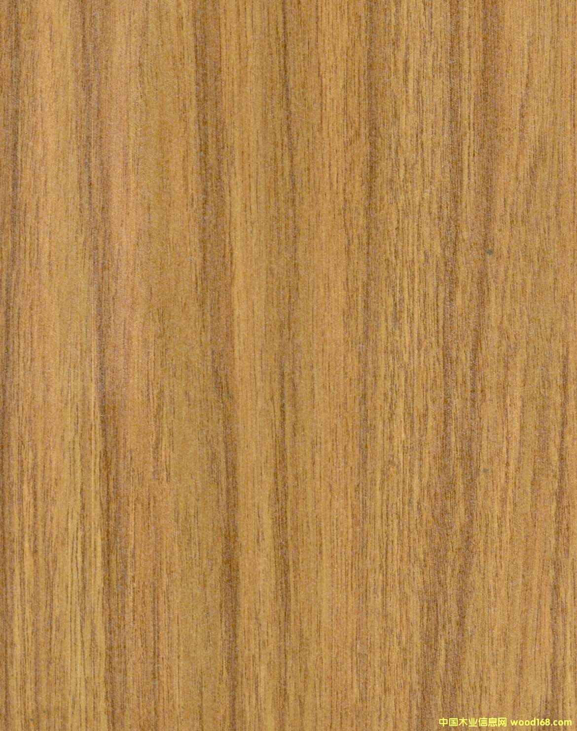 �����ذ��Ԕ����B