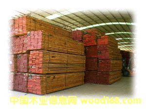 �t�����Ԕ��(x��)��B