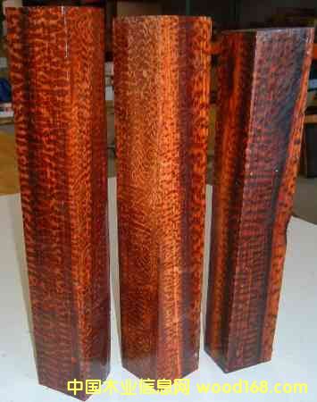 �߼yľ��Ԕ��(x��)��B