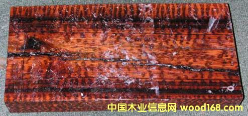 ��ľ��Ԕ��(x��)��B