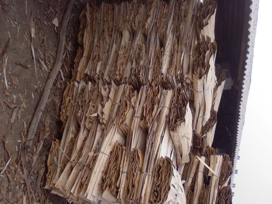 ����,�������Ԕ��(x��)��B