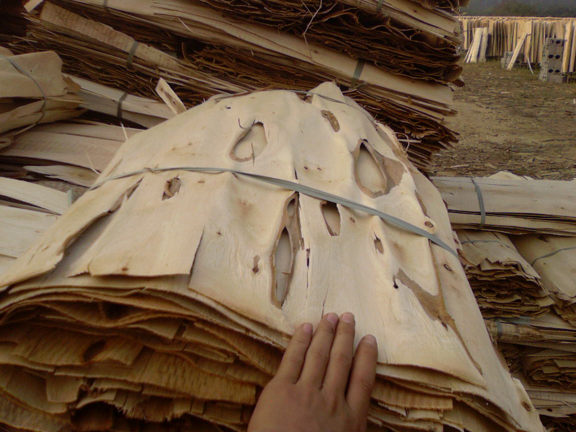 ����,�������Ԕ��(x��)��B