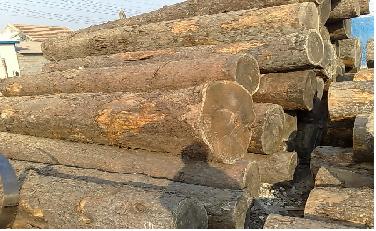 ���uľ�ļӹ����NҎ(gu��)���ϵ�Ԕ����B