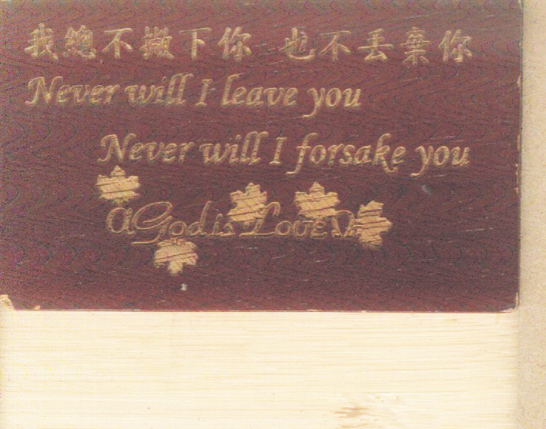 ��ľ�����Ԕ��(x��)��B