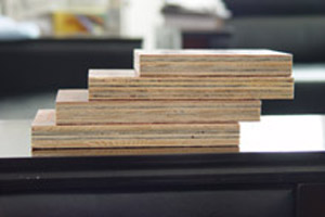 ��ɫ�z�ϰ�,����Ĥ���Ԕ��(x��)��B