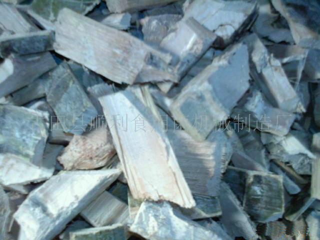 ����(y��ng)��Ƭ��Ԕ��(x��)��B