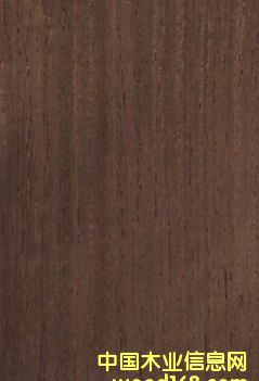 �F����Ԕ����B