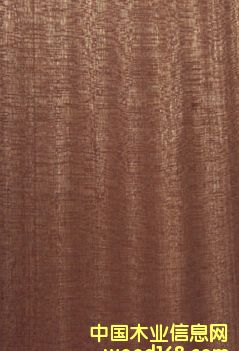 ɳ������Ԕ����B