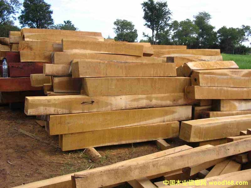 ��ρľ��Ԕ��(x��)��B