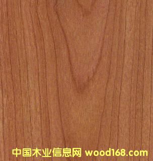 8330�����ͺϵذ�