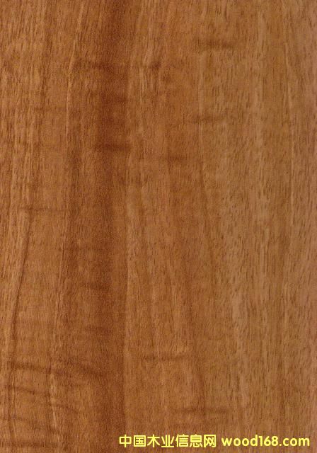 9020��ץ�y��Ԕ����B