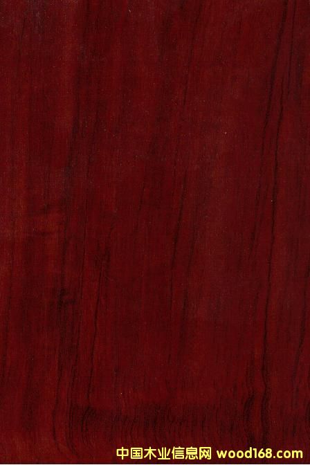 9012��ץ�y��Ԕ����B