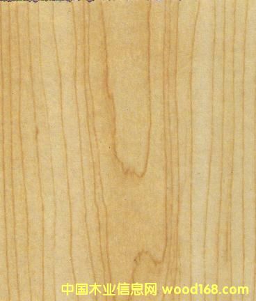 8239�����ͺϵذ�