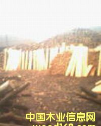 ���Ʒ��Ԕ��(x��)��B