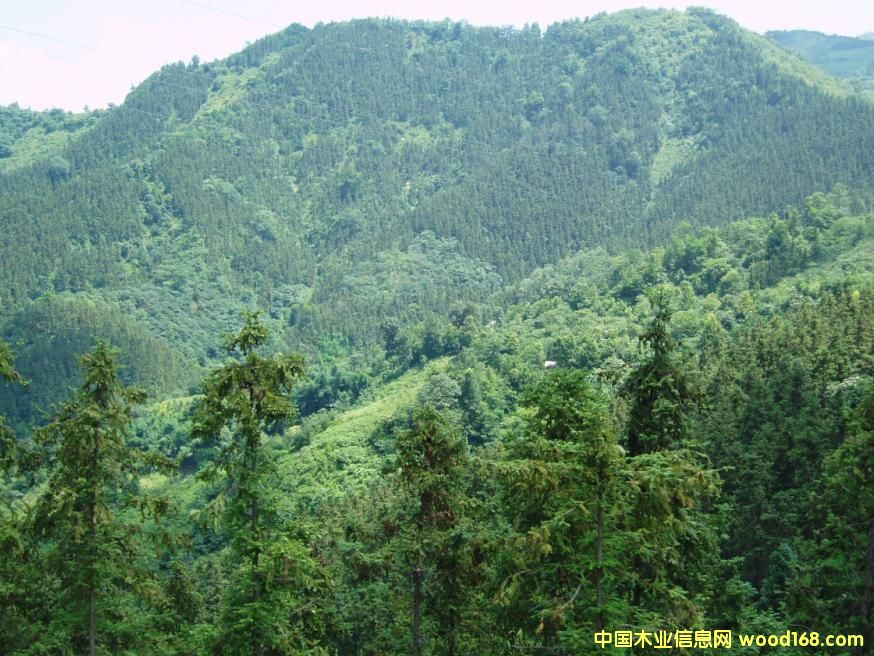 ��˾ɼľ�ֻ��ص�Ԕ����B