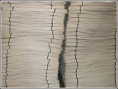 ��ľо���Ԕ��(x��)��B