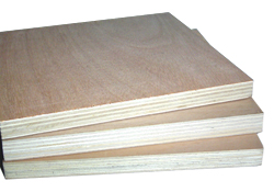 �z�ϰ�1��Ԕ����B