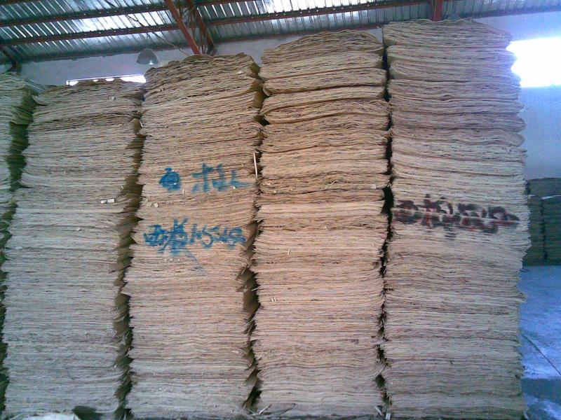 ��ľ�ΰ��Ԕ����B