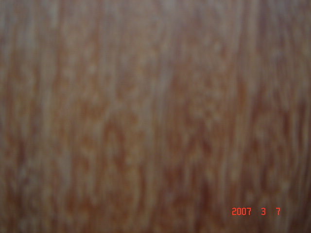 ���޼tľ��6��Ԕ��(x��)��B