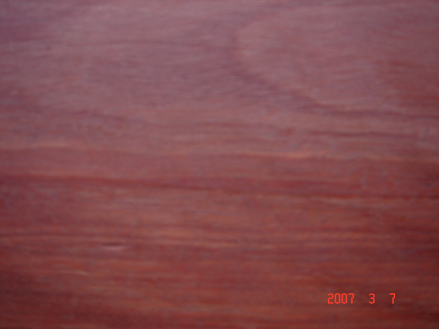 ���޼tľ��3