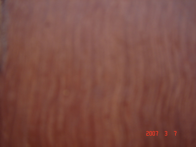 ���޼tľ��8��Ԕ��(x��)��B