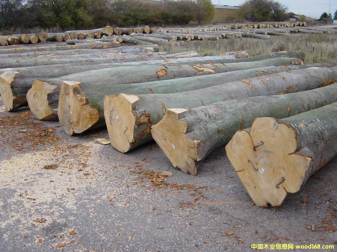 ��(gu��)��ľԭľ��Ԕ��(x��)��B