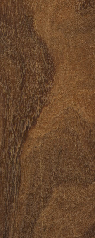 ����ľ��(��ľ��)