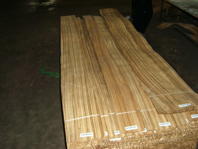 ���RľƤ��Ԕ��(x��)��B