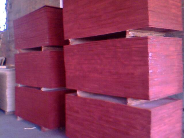 ����ģ���Ԕ����B