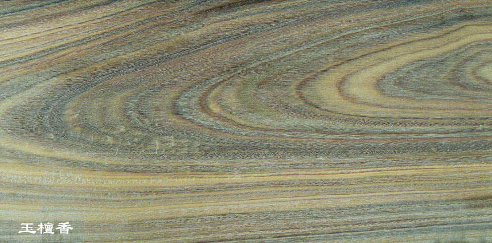 ��̴���Ԕ��(x��)��B